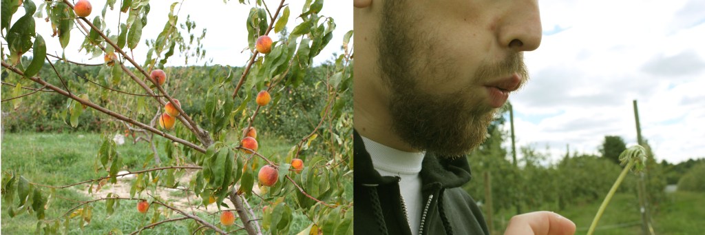 its starting to smell fresh around&nbsp;here