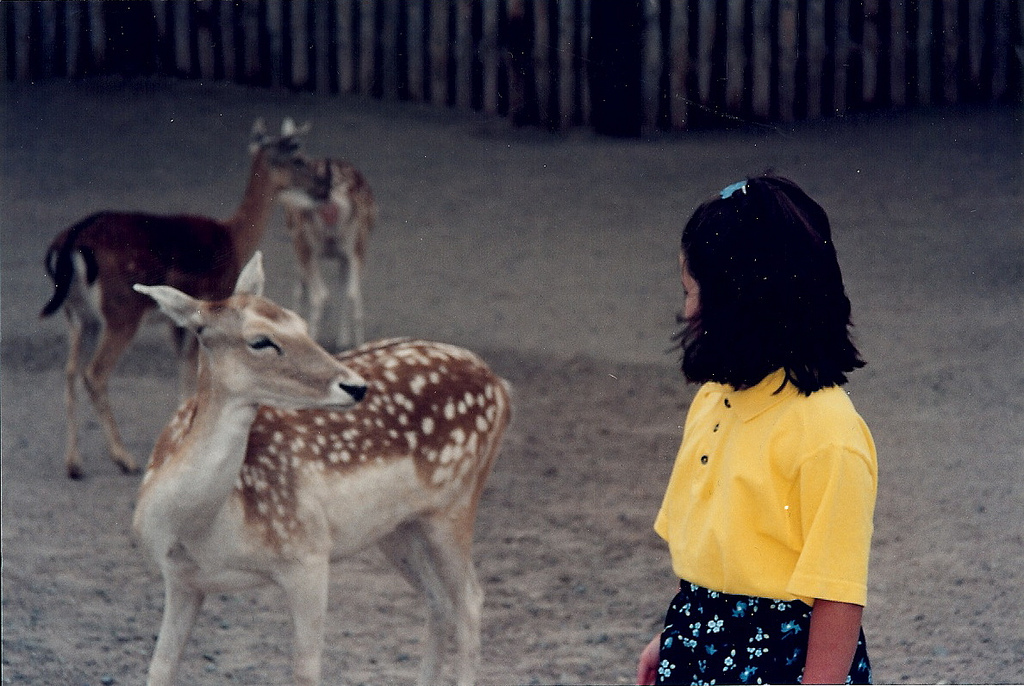 the ways of&nbsp;women