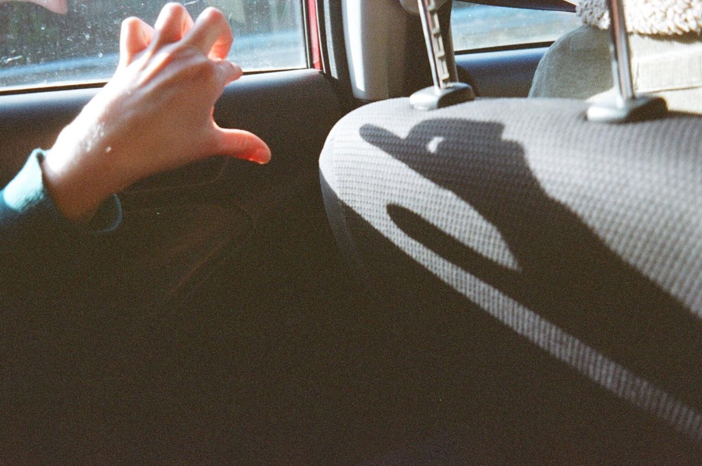 a cabin in the&nbsp;woods