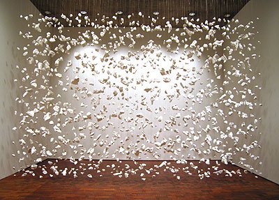 cornelia-parker-the-darkness