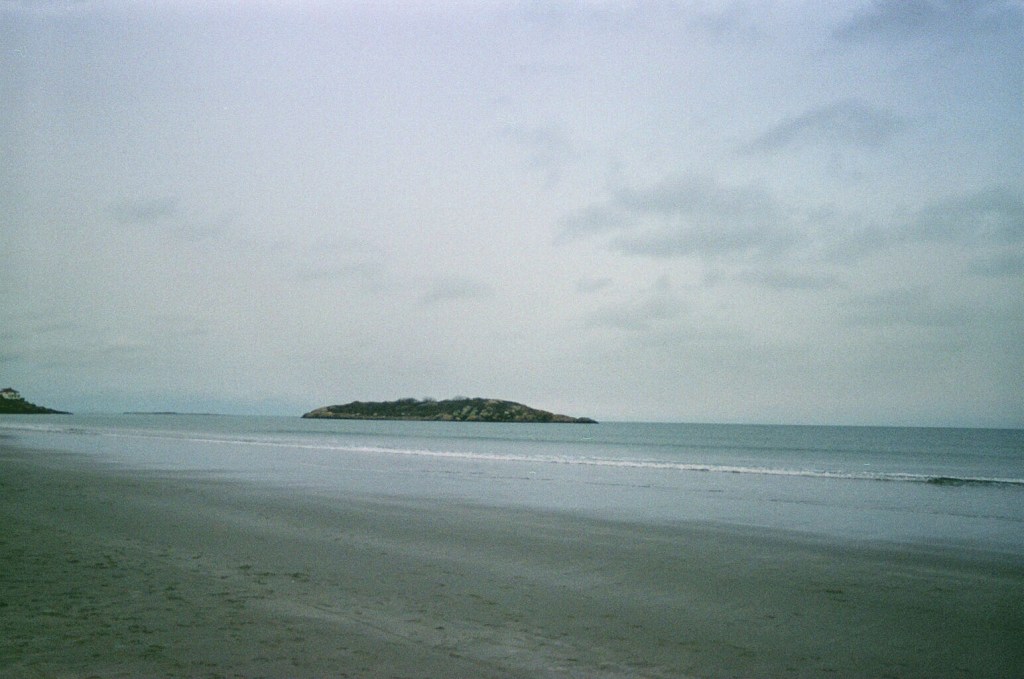 even things stay near&nbsp;woods