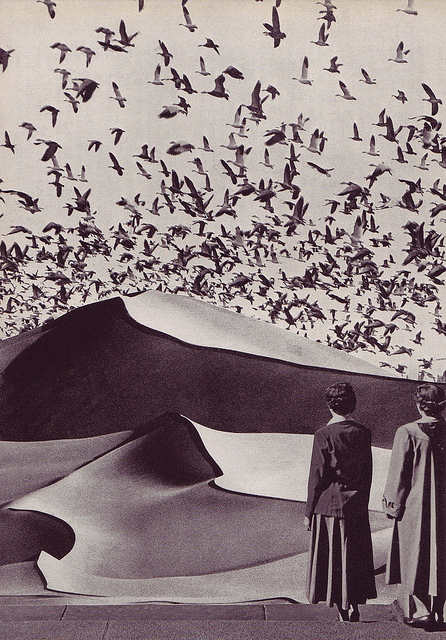 5862302944_603e1180a3_z