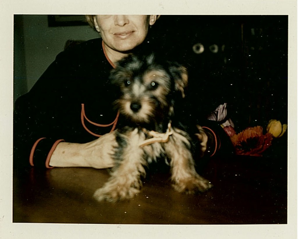 as though we had been born to&nbsp;idleness.