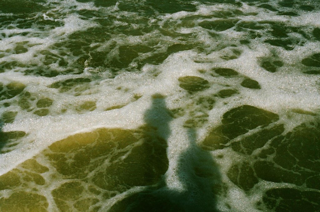 And the water will come down, and wash you&nbsp;down