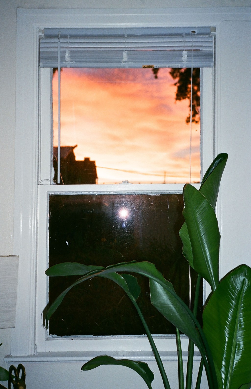 We are all and only our distances And when we touch that is what we touch. Our messy shelves. Our sullen privations And overabundance of&nbsp;lemons.