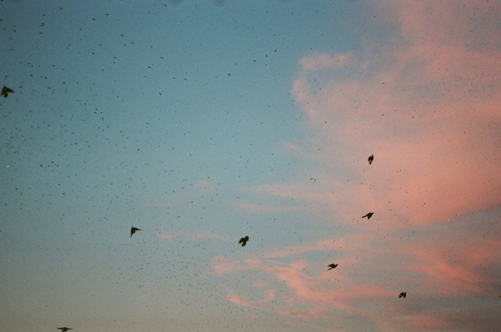 Waving in a language we wouldn’t&nbsp;Understand