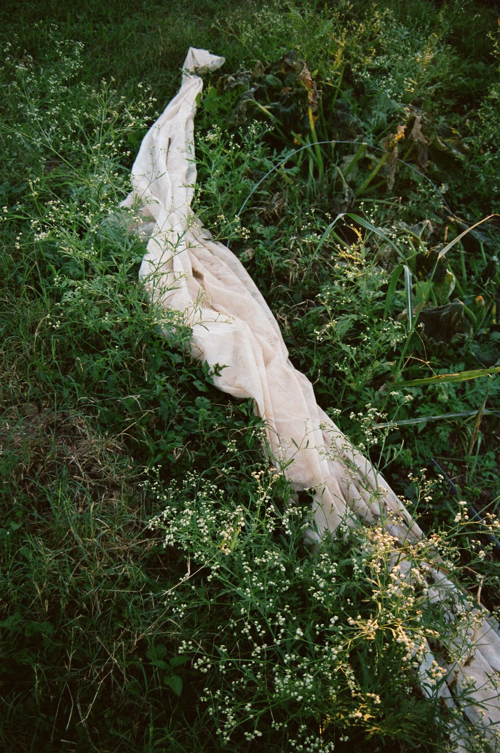 A gust of night pushed its way in the door and everyone inside wavered once like stalks in a field then resumed their&nbsp;talk.